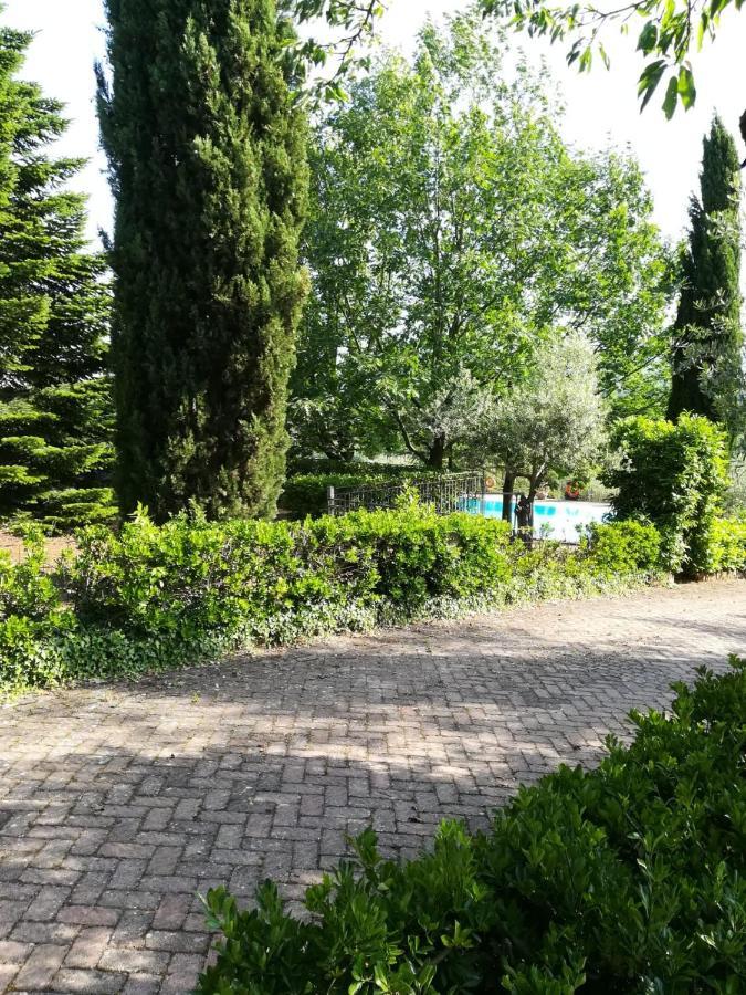 La Terrazza Su Roma Bed & Breakfast Zagarolo Exterior photo